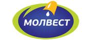 Компания «Молвест»